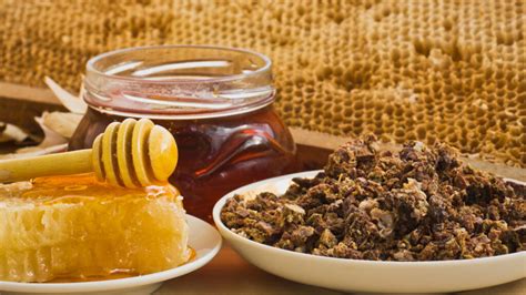 Propolis Nedir Faydalar Nelerdir Kullan M Iamnurullah