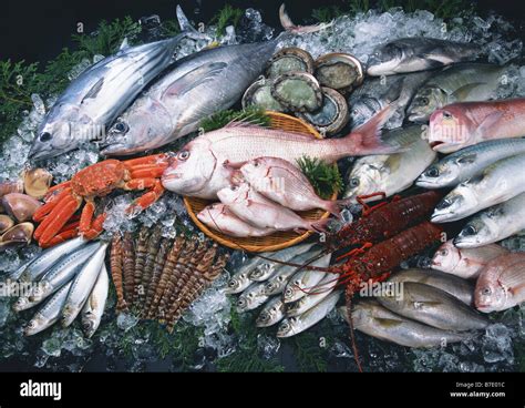 Fishery Products Hi Res Stock Photography And Images Alamy