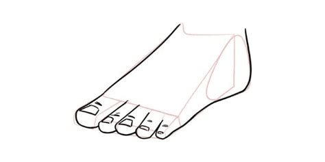 How To Draw Feet In Easy Steps With Images Don Corgi