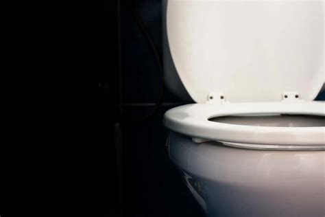 Causes for a Gurgling Toilet and How to Fix It - RP Plumbing Services