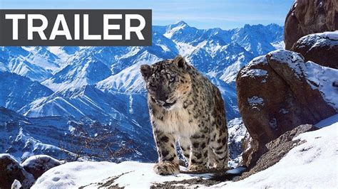 Best Nature Documentaries On Netflix Popsugar Entertainment