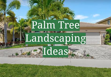 Palm Tree Landscaping Ideas GardenProfy