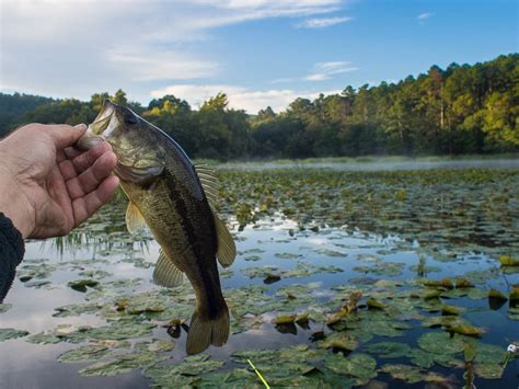 Fishing at Clayton Lake State Park - James Pratt