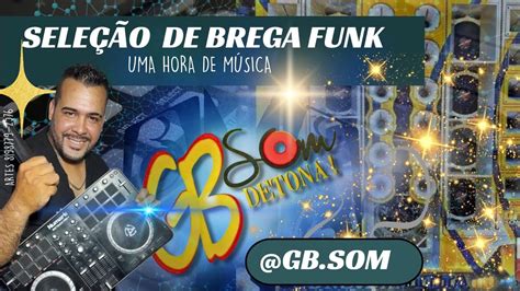 Seleção De Brega Funk 2024 Atualizado Cd Brega funk Junho 2024 YouTube