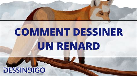 Comment Dessiner Un Renard Blog Dessindigo