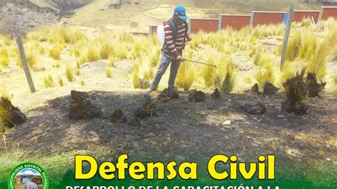 Curso De Capacitaci N Por Incendios Forestales Noticias