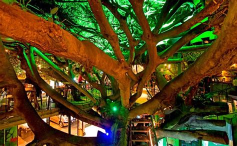 Tree house hotel. Eco hotel guide Heart of a Vagabond - Tree House