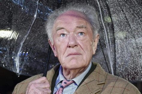 Muere a los 82 años Michael Gambon el Dumbledore de Harry Potter