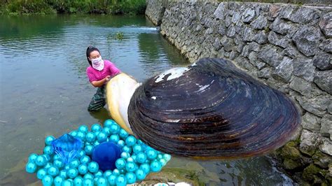 When I Pried Open The Giant Clam There Were Countless Beautiful Pearls