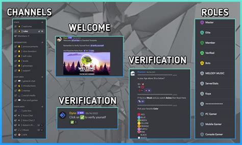 Phantom Gfx I Will Do Professional Discord Server Setup For Your