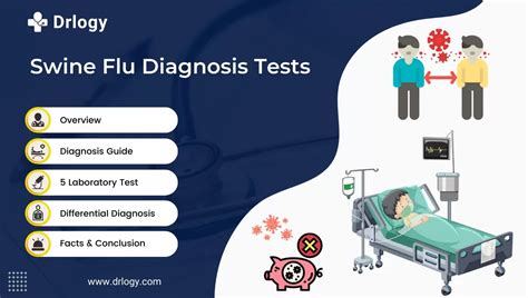 5 Accurate Test For Swine Flu Diagnosis Protection Drlogy