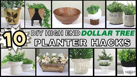 10 Amazing Dollar Tree DIY PLANTER Hacks Dollar Tree DIY HACKS Hot