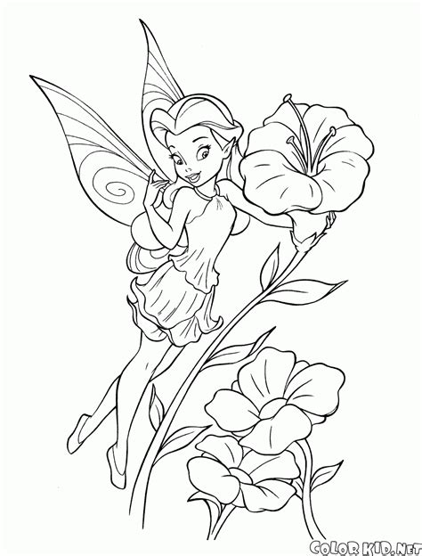 Coloring page - Garden fairy Rosetta