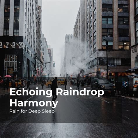 Echoing Raindrop Harmony Album By Rain For Deep Sleep Spotify