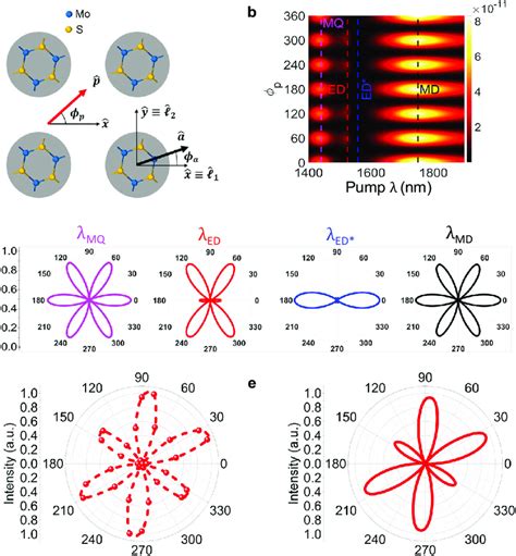 Polarisation Resolved SHG In A TMDC Metasurface A Schematic Of The