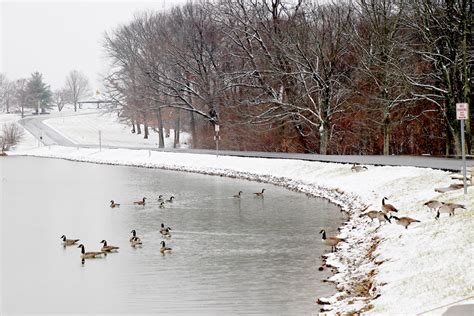 Cape County Park North Cape Girardeau Missouri