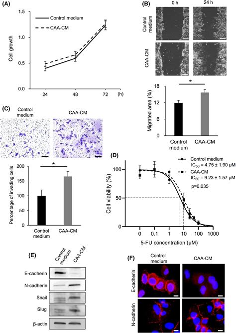 Cancer‐associated Adipocytes Promote Pancreatic Cancer Progression Through Saa1 Expression