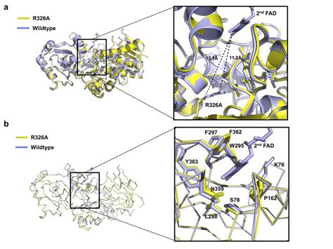 Details Of The Nd Fad Binding Site Of Osm R A A Position Of