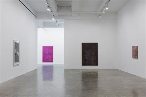 Paul Sietsema At Matthew Marks Gallery New York Mousse Magazine And