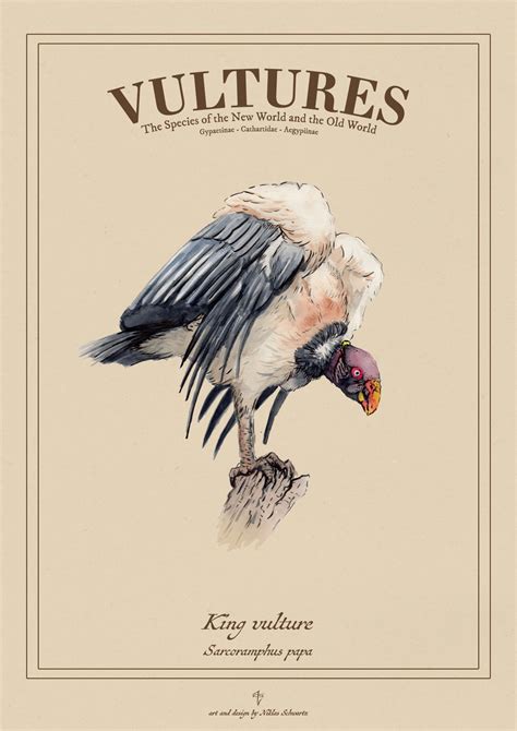 King Vulture Poster by Schwartz-Design on DeviantArt