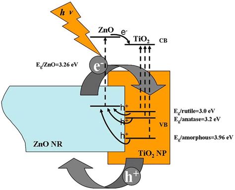 Illustration Of Photo Induced Charge Transfer And Separation At The