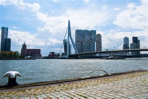 Rotterdam Menjembatani Arsitektur Foto Gratis Di Pixabay Pixabay