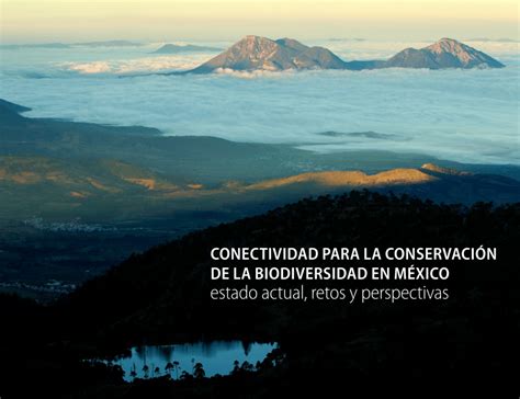 Pdf Conectividad Para La Conservación De La Biodiversidad En México