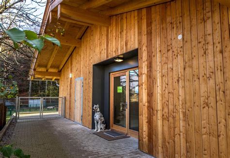 Rottacher Tierheim Neuanfang nach drei Jahern Da bekomme ich Gänsehaut