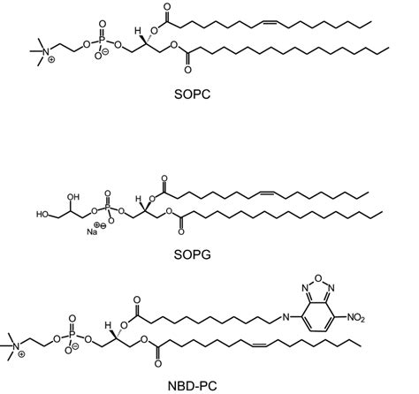 Figure A6 Chemical Structures Of The Used Lipids Sopc Sopg And The