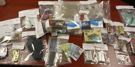 Illicit Cannabis Mushrooms Tobacco Seized In Burin Peninsula Traffic