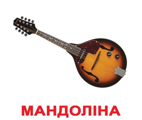Музичні інструменти - купити за низькою ціною у Львові та в Україні ...