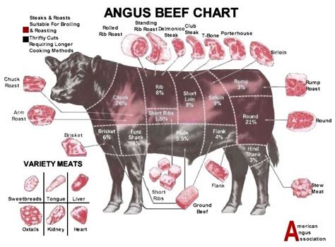 Parts Of A Beef Cow Diagram Chart