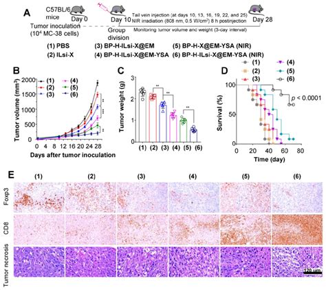 In Vivo Antitumor Effects Of The Nanosystem Against Mc 38 Tumor Model