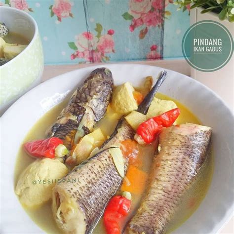 10 Resep Olahan Ikan Gabus Mudah Dibuat Dan Maknyus