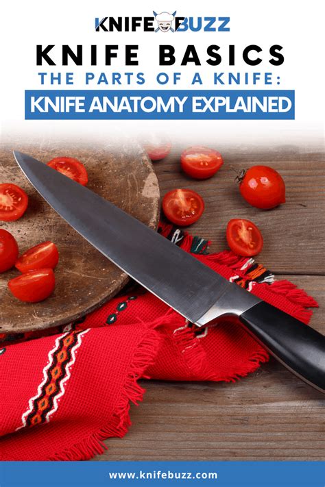 Parts of a Knife: Knife Anatomy Explained - Knife Buzz - Expert Advice ...