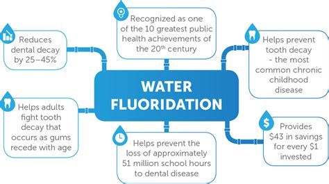 Florida Fluoridation Florida Dental Association