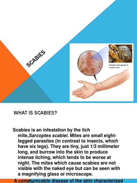 Scabies Pdf Microbiology Diseases And Disorders