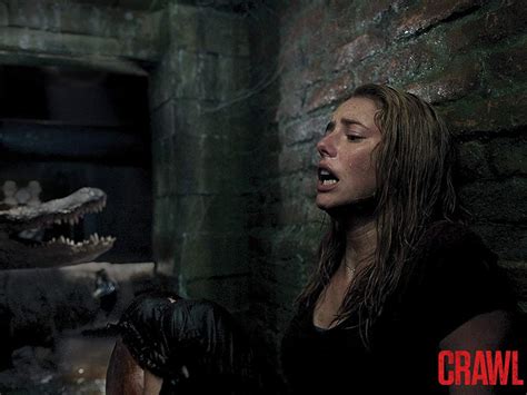 Crawl K Limited Digipak Edition K Uhd Blu Ray Blu Ray Review