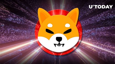 Shiba Inu Shib Lead Excited At Latest Ecosystem Progress