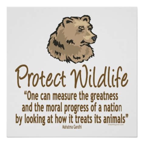 Quotes About Protect Wildlife 31 Quotes