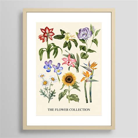 Vintage Botanical Watercolor Collection On Behance