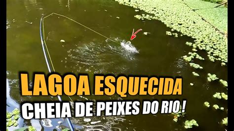 PESQUEI NA LAGOA ABANDONADA DA FAZENDA FOI DE ARREPIAR YouTube