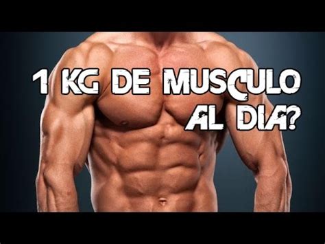 Kilo De Grasa Vs Kilo De Musculo Gimnasio Madrid