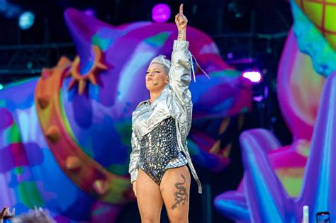 Pink Returns to Concert Stage in Copenhagen After Canceling Show for ...