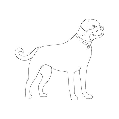 Premium Vector Continuous One Line Hand Drawn Dog Outline Vector