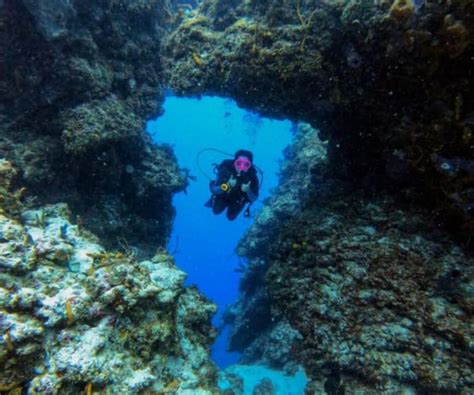 Cozumel Two Dives In Cozumel National Marine Park