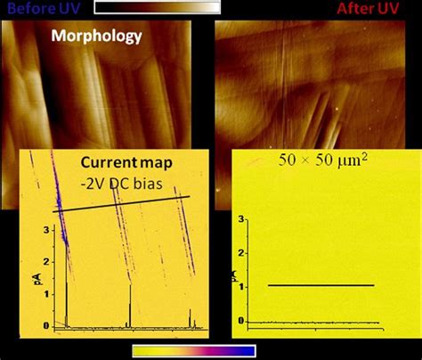 AFM Morphology Top And C AFM Current Maps Bottom Measured On Sample