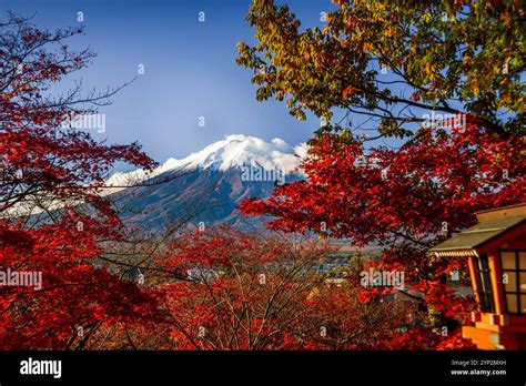 Mount Fujiyama Mount Fuji Unesco World Heritage Site Iconic Volcano