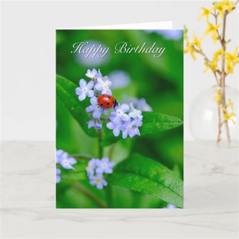 Ladybug On Forget Me Not Birthday Card Zazzle