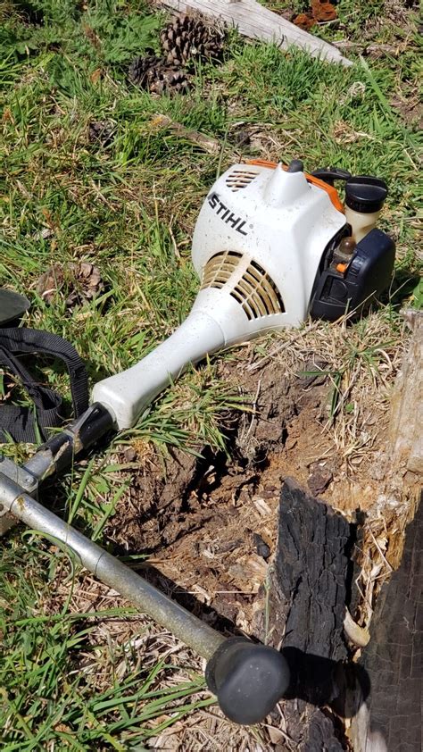 Stihl FS 55 Brush Cutter Review 2023 I Tested It And Here S What I